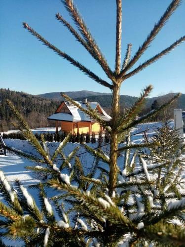 Villa Chata Pod Honem