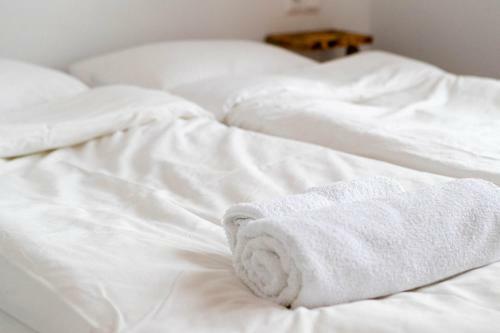 Bed & Breakfast Cisna Chata