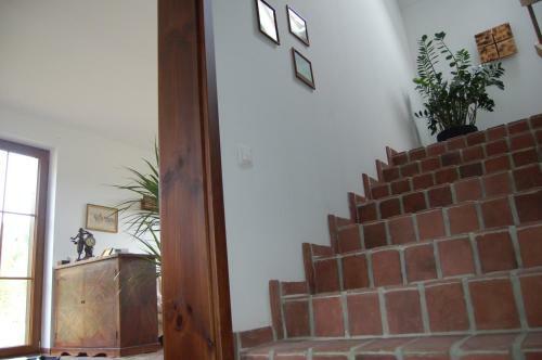 Bed & Breakfast Cisna Chata