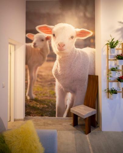 Apartament Nad Tamami