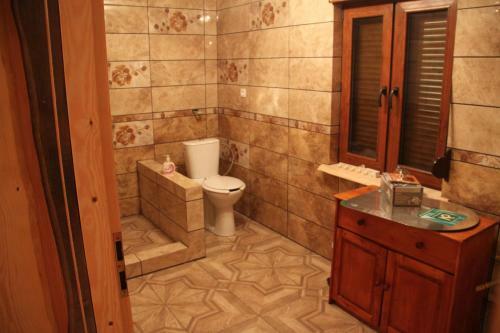Lodge Winnica D?bog�ra