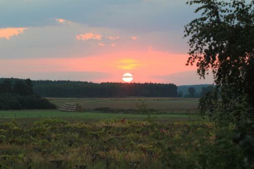 Lodge Winnica D?bog�ra