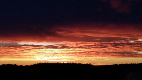 Lodge Winnica D?bog�ra