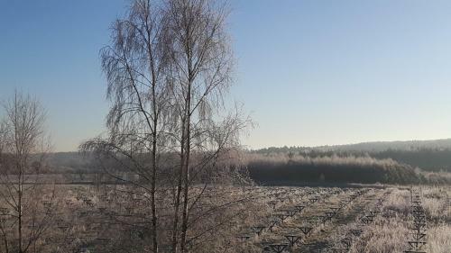 Lodge Winnica D?bog�ra
