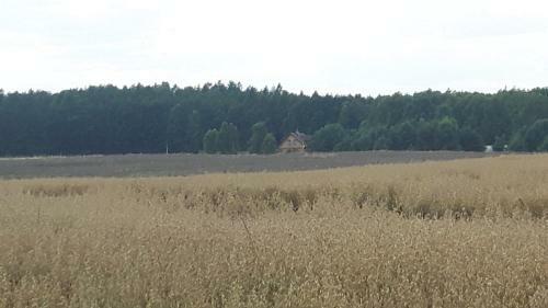 Lodge Winnica D?bog�ra