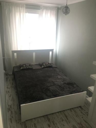 Apartament Flora