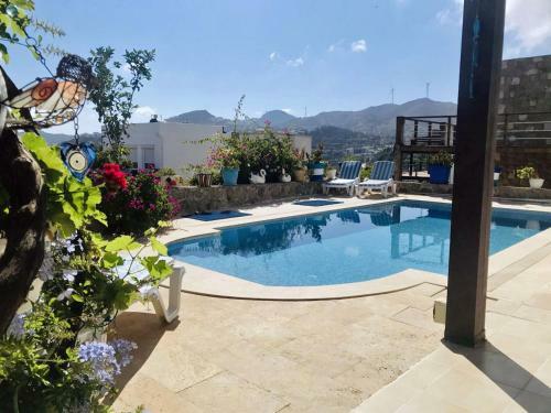 Villa Priene - Gumusluk Private Pool