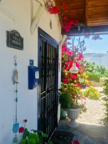 Villa Priene - Gumusluk Private Pool