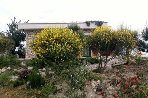 Villa Infinity Alinca