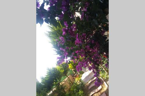 Villa Pandemi de Karaburun ... Sa?l?kl? G�nlere....