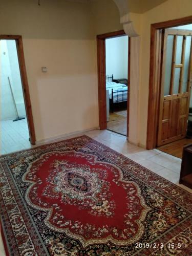 Haci Nevruz Apartlar?