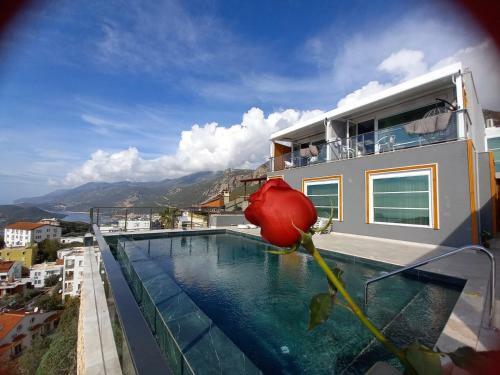 Un Amor Hotel