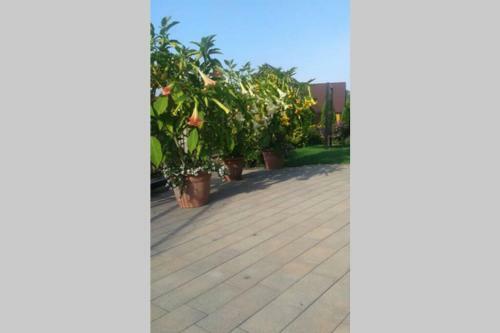 Apartamento Mieszkanie U Basi I Czes?awa