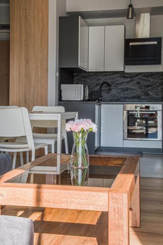 Apartament Nad I?awk?