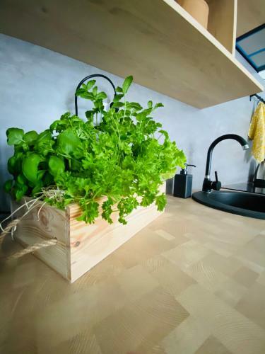 Apartamento Marina Luna