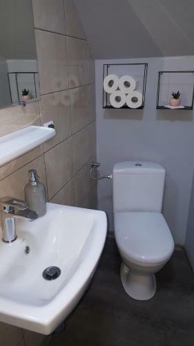 Lodge Pokoje Go?cinne Nad Z?otym Potokiem