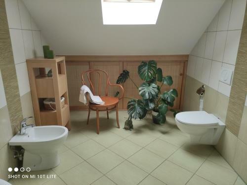 Apartament Panorama