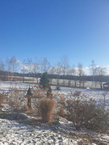 Apartament Panorama