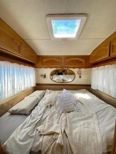 Chillax Camp