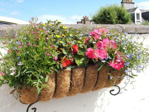 Afton Villa Bed And Breakfast