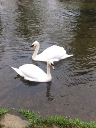Hostal Sculthorpe Mill