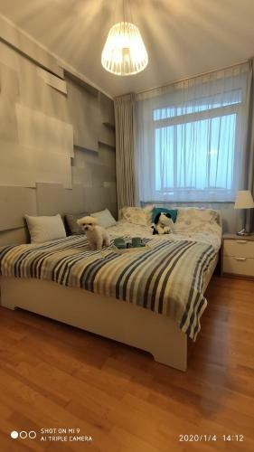 Apartamento Fregata