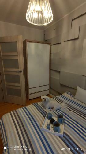 Apartamento Fregata