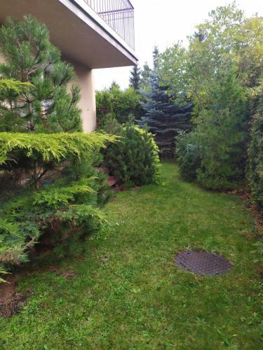 Apartament Jasna Pla?a