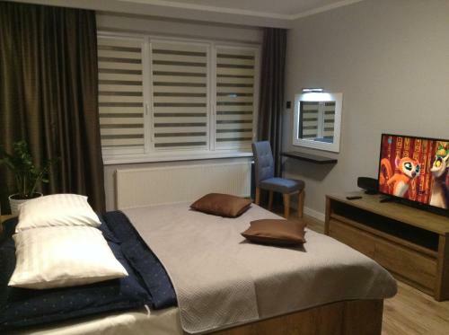 Apartament Studencka