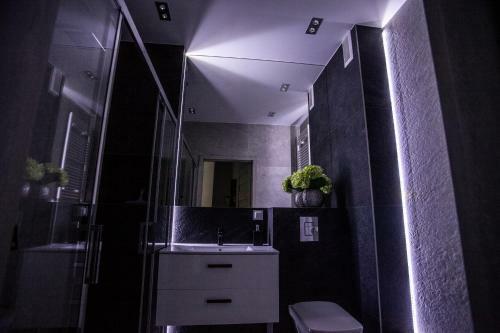 Apartament W Cieplicach