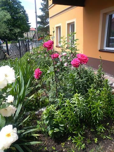 Apartament Przy T??niach
