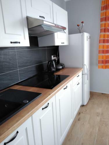 Apartament Przy T??niach