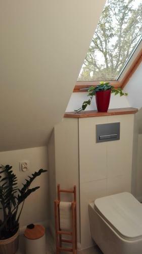 Apartamento Brzoza I ?wierk Z Widokiem Na G�ry