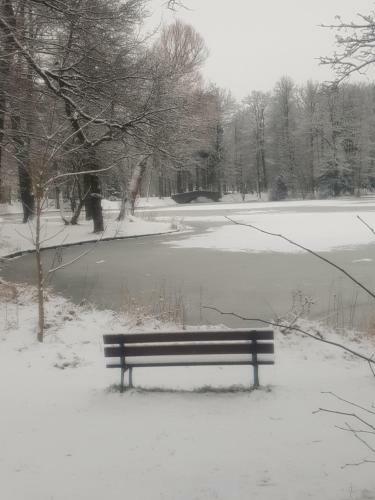 Apartamento Pokoje Go?cinne Uzdrovisco Cieplice