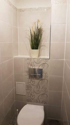 Apartamento Pokoje Go?cinne Uzdrovisco Cieplice