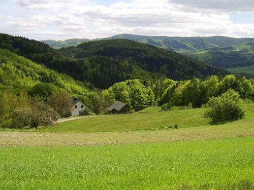 Agroturystyka Miller�wka