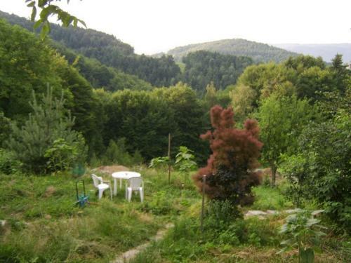 Agroturystyka Miller�wka