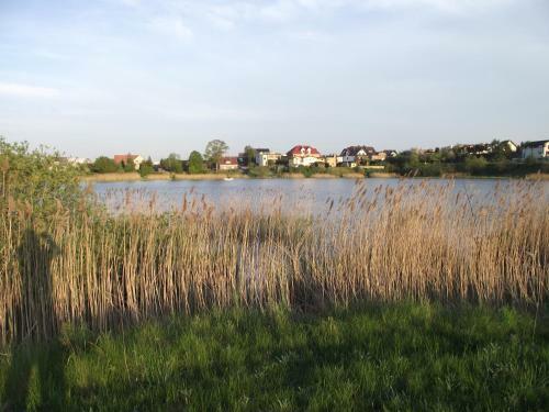 Apartament Alina