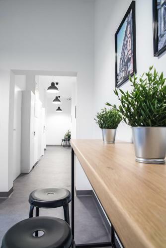 Albergue Chopin Host