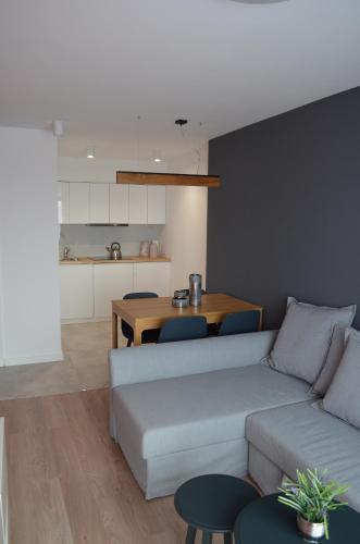 Vitreyd Apartamenty Sokolska 33