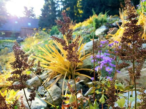 Apartamento Willa G�ralka