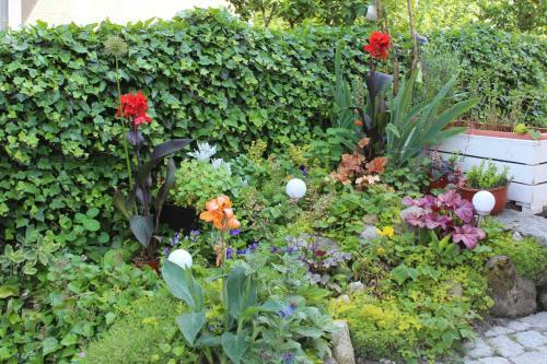 Apartament Kameralny