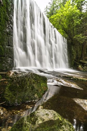Bed & Breakfast Lawendowy Dworek