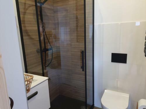 Apartamenty Deptak - W Centrum Karpacza, Parking W Cenie!