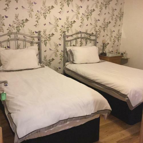 Hostal Acer Guest House