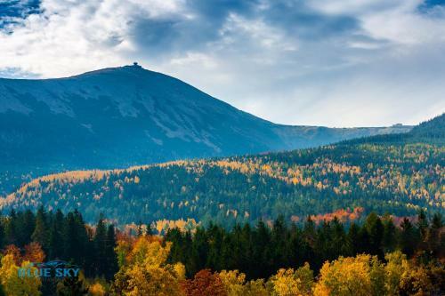 Apartamenty Bluesky - Przemys?owa 16