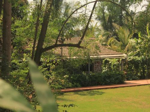 Villa Red House 3bhk