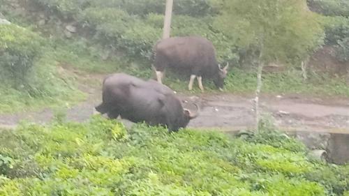 Hostal Dream Valley Cottages