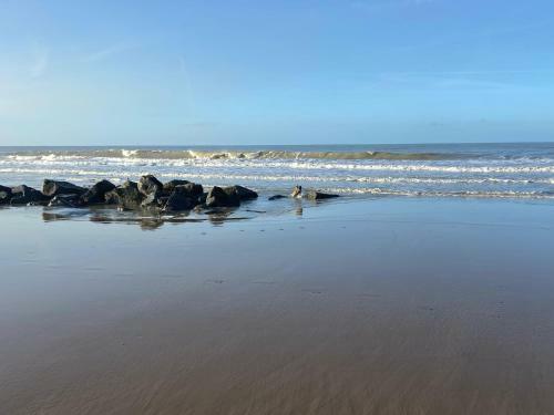 Apartamento Ruim Appartement Op 50m Van Strand
