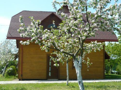 Wichrowe Wzg�rze